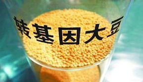 金龍魚(yú)陷轉(zhuǎn)基因門(mén)風(fēng)波 專(zhuān)家稱安全性尚無(wú)定論，對(duì)酒類(lèi)經(jīng)營(yíng)有何啟示？